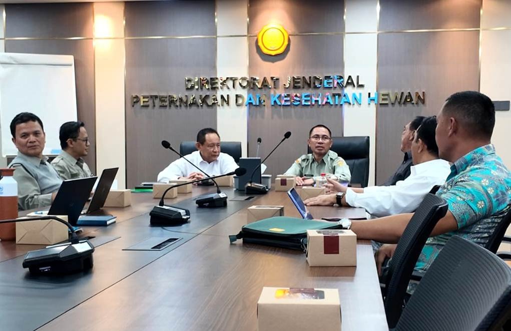 WhatsApp-Image-2026-01-27-at-011615